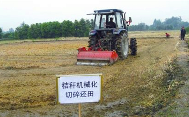 秸稈還田讓“地越種越肥、產值越來越高”