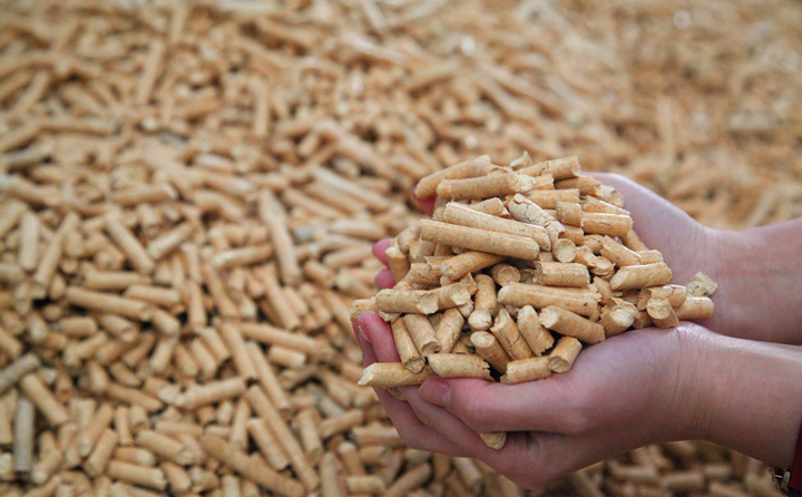 廢木材粉碎後用生物質海角报社HJ509TOP製作生物質燃料顆粒