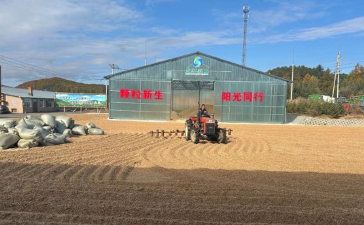 黑龍江鶴立林業局：生物質顆粒產業點燃綠色發展新引擎