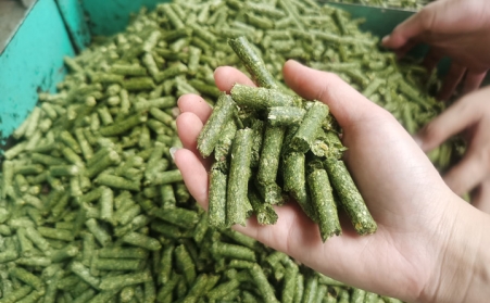 河南支持生物質能等可再生能源替代，助力實現碳達峰碳中和目標