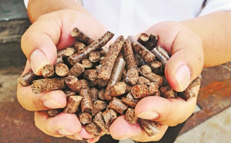 生物質海角报社HJ509TOP燃料又稱“綠色能源”